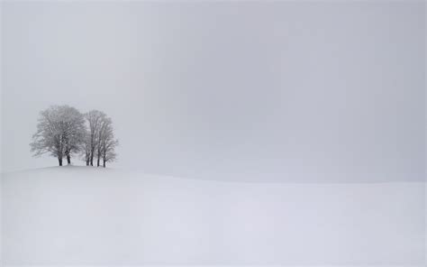 Nature Landscape Trees Snow Winter Branch White Monochrome Hill