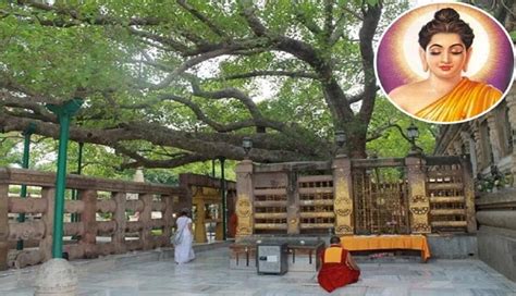 Interesting Facts About Mystic Mahabodhi Temple Where Lord Buddha