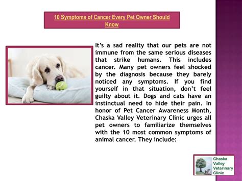 Ppt 10 Symptoms Of Cancer Every Pet Owner Should Know Chaska Valley