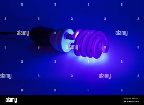 Compact Uv Ultraviolet Ccfl Cold Cathode Fluorescent Lamp On White