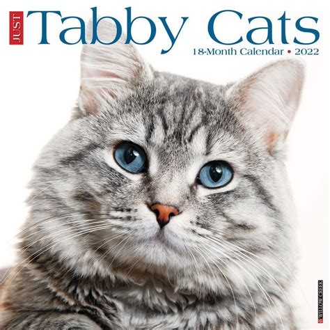 Tabby Cats 2022 Calendar