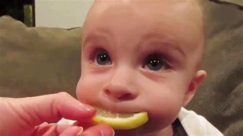 Cute Babies Eating Lemons For The First Time Cute Baby Video Youtube