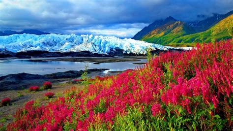 Spring Red Flowers River Mountain With Snow Landscape Hd