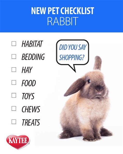 New Pet Rabbit Checklist Getting A Pet Rabbit What To Expect Kaytee