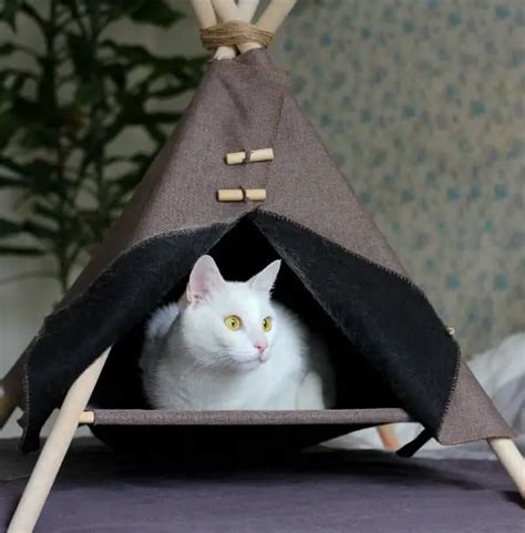 How To Make A Diy Pet Teepee In 6 Easy Steps