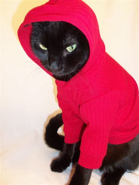 Coolcats Knit Hoodie For Cats Several Colors Available Via Etsy Cat
