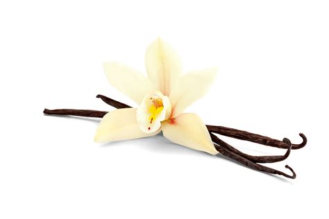 How the Pandemic is Impacting the Vanilla Supply Chain - All Things 