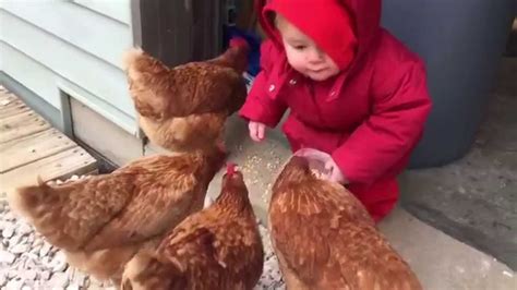 Sayvareli Bavshvebi Babies Love Chicken Youtube