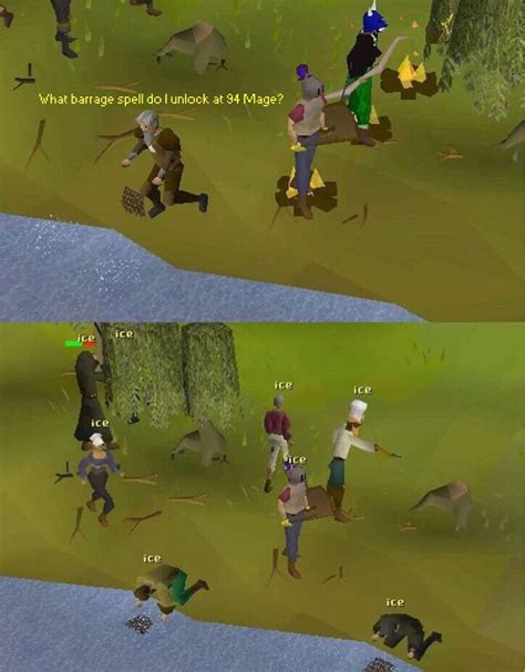 When The Community Is Helpful Old School Runescape Funny Photos