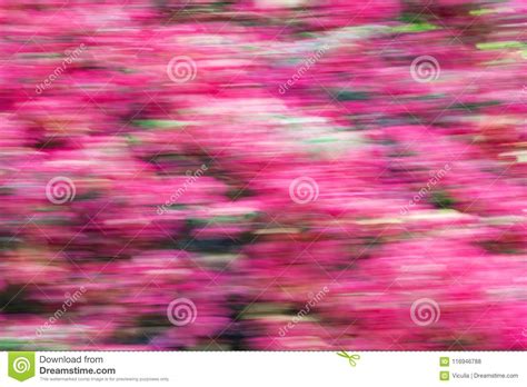 Abstract Motion Blur Effect Spring Blurred Flowers Stock Photo Image