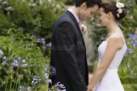 Newlywed Couple In Garden Stock Photo Image Of Lifestyle 33901776