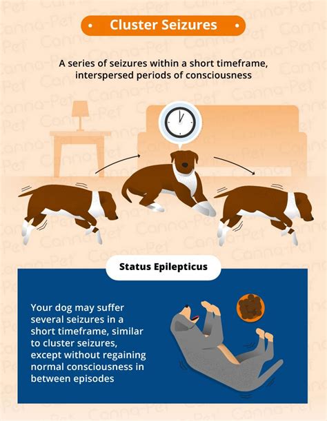 Types Of Seizures In Dogs Canna Pet Types Of Seizures Dog Seizures