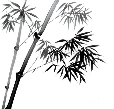 Chinese Ink Painting Of Bamboo By Evelyn Sichrovsky