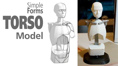 Simple Forms Torso Model Youtube