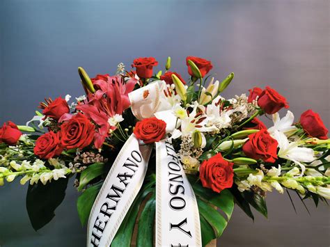 Check spelling or type a new query. Centro Palma Cabueñes - Floristerías Arco Iris