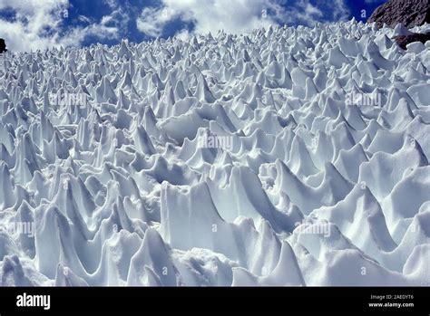 Sun Cups In The Sierra Nevada Mountains Stock Photo Alamy