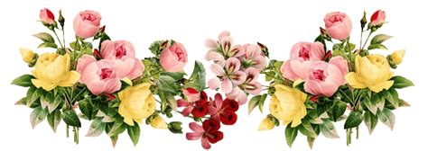 Hq Floral Png Transparent Floralpng Images Pluspng