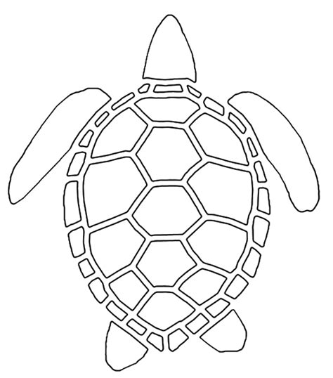 Turtle Outline Drawing At Getdrawings Free Download