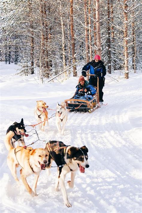 Famiglia Indiana Con La Slitta Tirata Da Cani Del Husky Di Guida Del