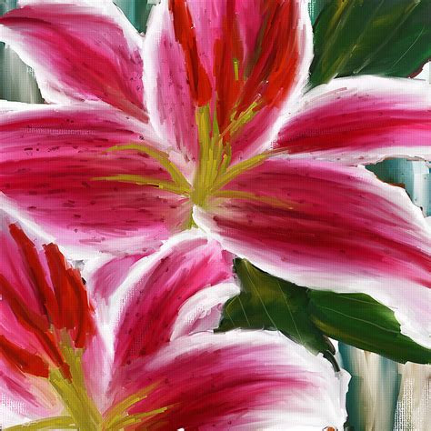 Asiatic Lily Asiatic Lily Paintings Pink Paintings Painting By Lourry