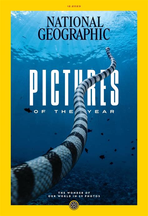 National Geographic Unveiled Its Pictures Of The Year Here Are 7 Of