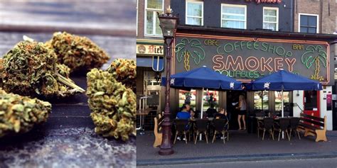 You Can No Longer Visit Weed Cafes In Amsterdam Cannabis Tourism Banned
