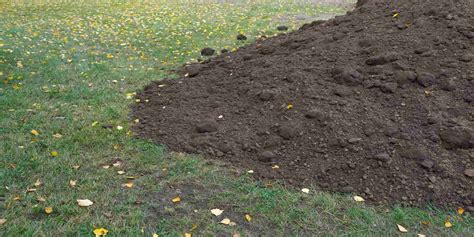 How Much Does A Yard Of Screened Topsoil Weigh