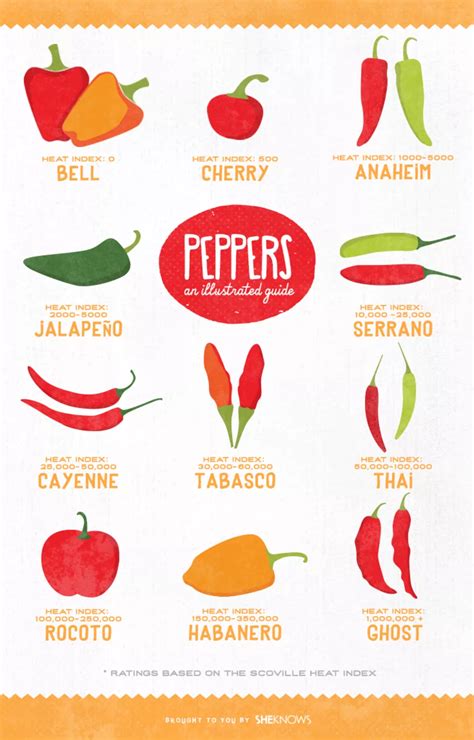 Types Chili Peppers Chart