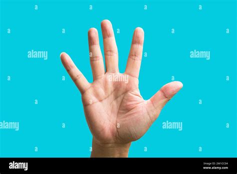 Palm Of A Male Hand Showing Five Fingers Pointing Up On Blue