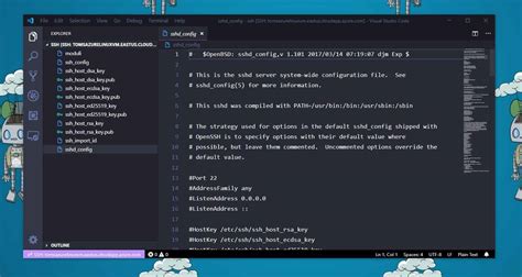 Visual Studio Code Linux Subsystem Killergas