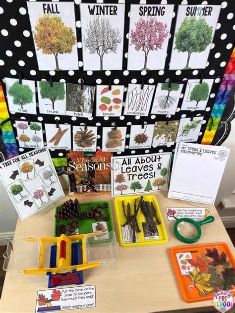 Leaves And Trees Science For Little Learners Preschool Pre K