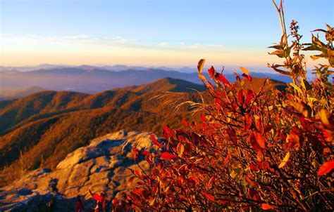 Fall Color Photos 2013 Asheville North Carolina Craggy Gardens Blue