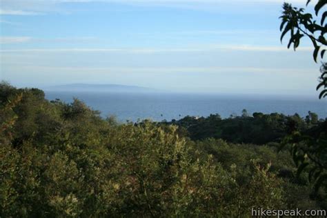 The los liones trail is a 7.3 mile hike from the pacific palisades to a popular overlook in topanga state park, and is honestly one of the finest hikes in all of los angeles. Los Liones Trail | Los Angeles | Hikespeak.com