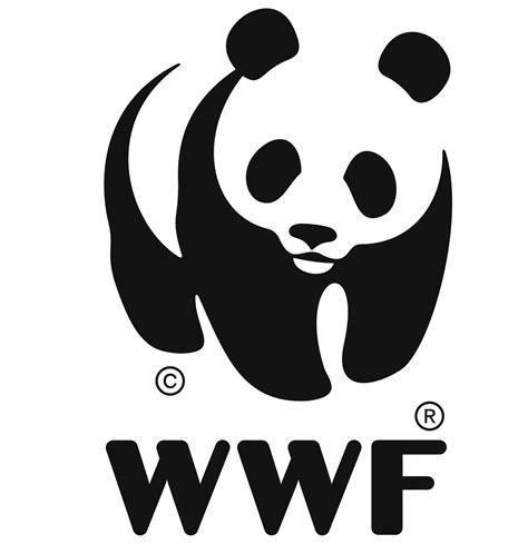 Wwf Logo Histoire Signification Et évolution Symbole