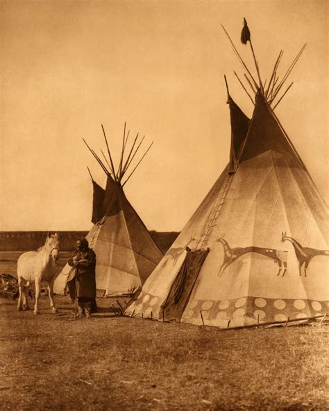 Blackfoot Tipis Edward Curtis Photos