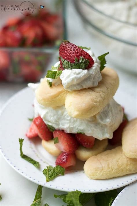 From easy ladyfingers recipes to masterful ladyfingers preparation techniques, find ladyfingers ideas by our editors and community in this recipe collection. Strawberry Mint Shortcake with Ladyfingers - Dessert ...