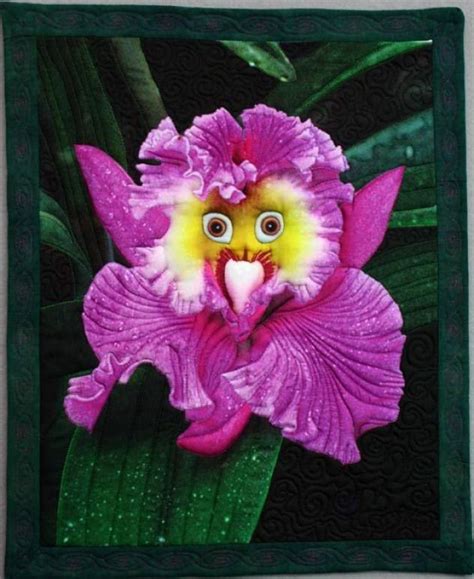 Rare Orchids Rare Parrot Orchid Flowers Flowers Unique Strange