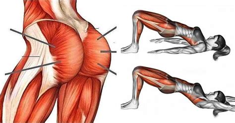 Glute Bridge Exercise To Tone And Shape Your Glute