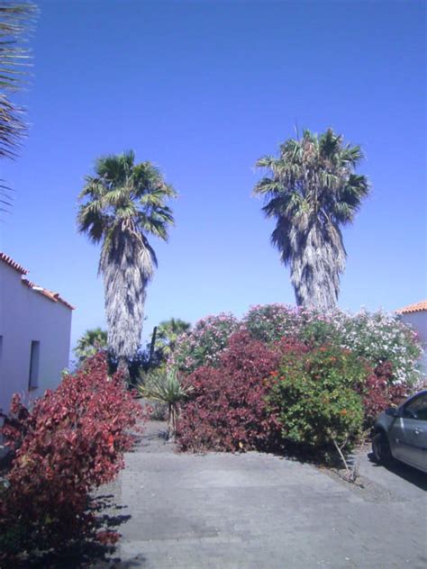Auch wenn das wetter 50 m vor dem laden, bei dem haus mit dem wein nach unten gehen und den blauen und roten. "Ausblick vom Haus" Hotel La Palma Jardin (El Paso ...
