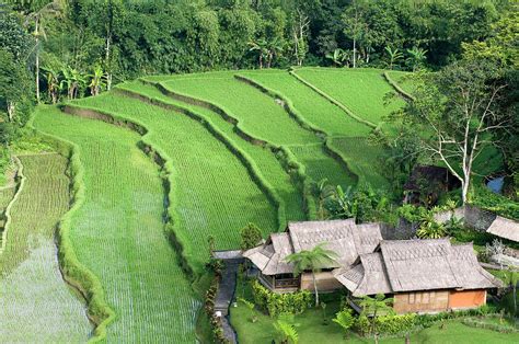 Indonesia Bali Subak Irrigation System By Gerault Gregory Hemis Fr