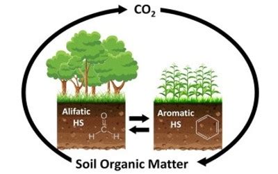 Organic Matter - Msrblog