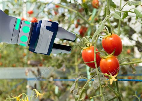 Smart Robotic Agriculture Futuristic Concept Robot Farmers Automation