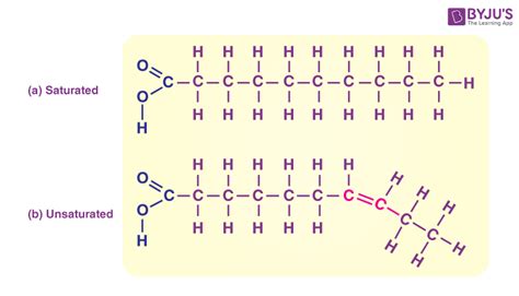 What Are Lipids Definition Structure And Classification Of Lipids 2023