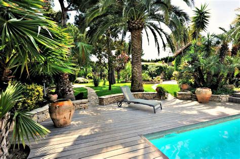 The Best Trees For Pool Landscaping