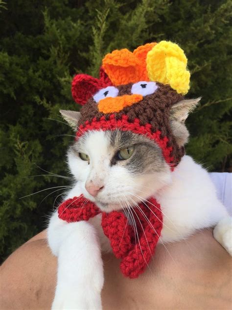Hats For Cats Crochet Patterns Care About Cats