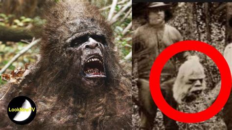 5 Best Bigfoot Sightings Caught On Camera Youtube