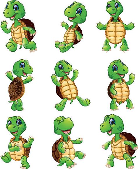 670 Turtle Standing Up Stock Illustrations Royalty Free Vector