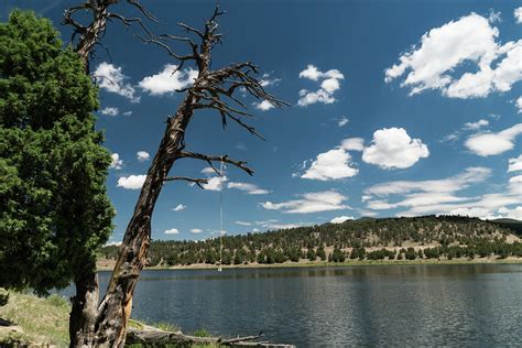 Weathered Tree And Rope Quemado Lake New Mexico Photograph By Mike