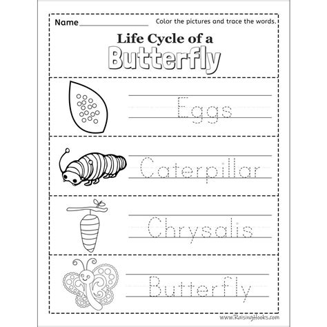 Butterfly Word Search Word Search Butterfly Worksheet For 2nd 3rd
