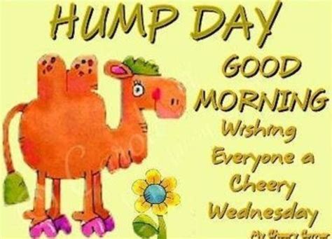 Wednesday Hump Day Images